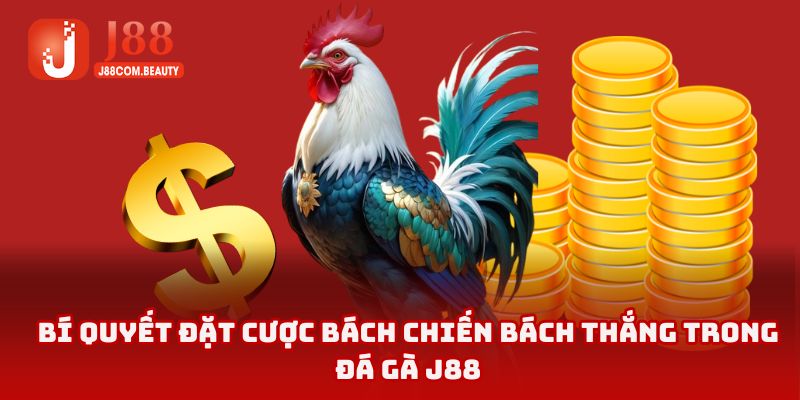 Chiến thuật chơi chọi kê tất thắng cho người mới