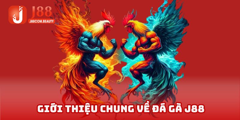 Đôi nét về sân chơi cho hội viên nắm bắt